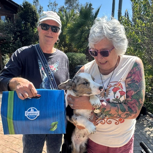 Pareja con su cachorro Corgi